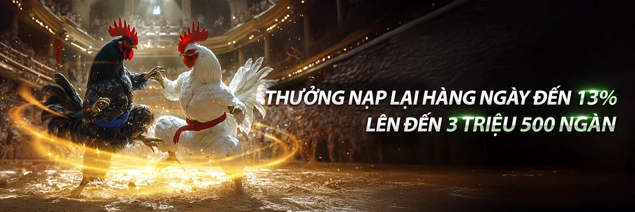 Cá cược thể thao 55win đăng ký